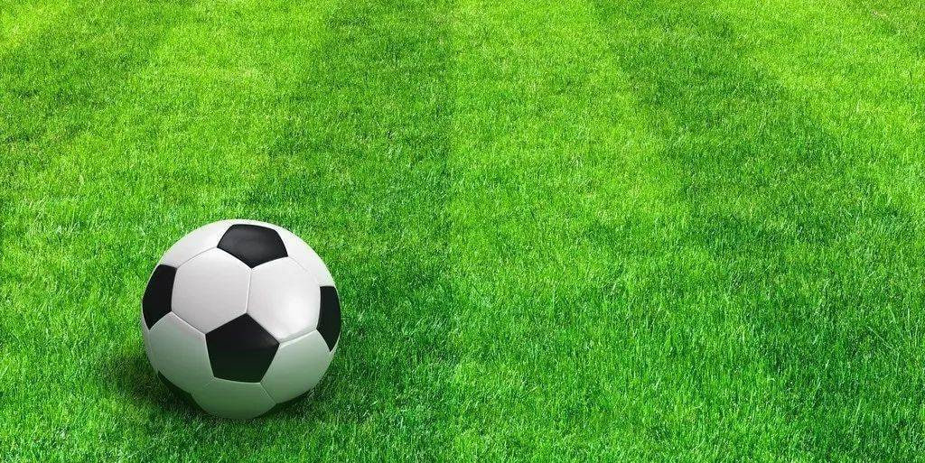 足彩新手入门学习